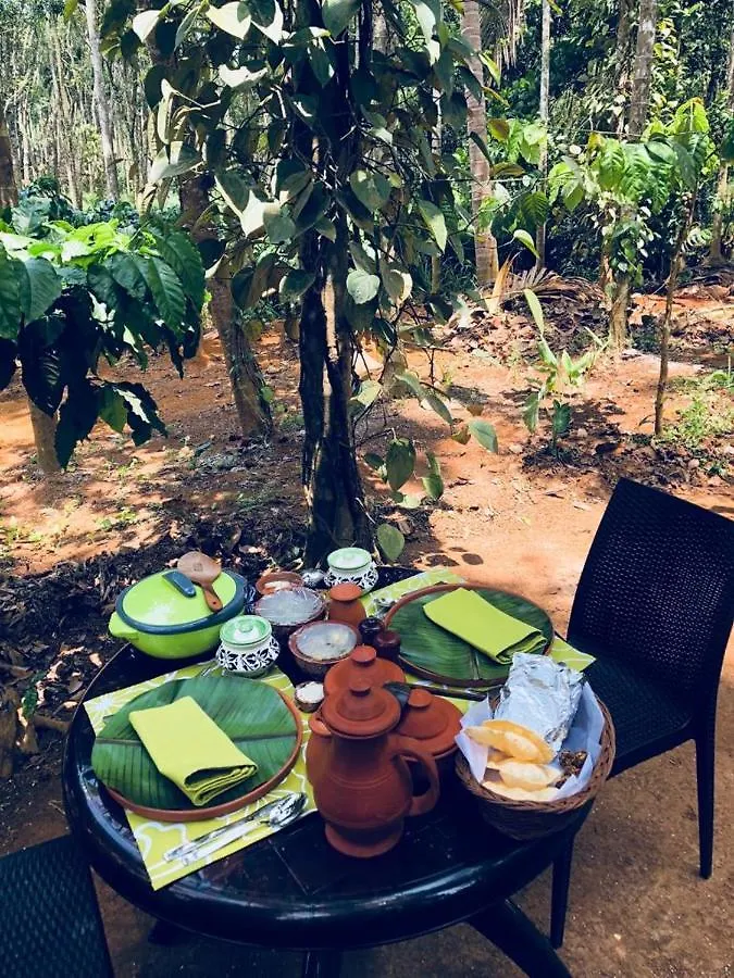 Kerala Wild Stay Kanthalloor Resort